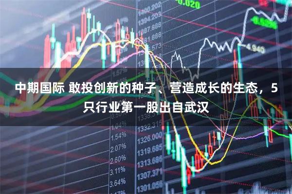中期国际 敢投创新的种子、营造成长的生态，5只行业第一股出自武汉